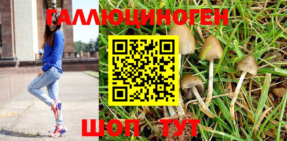 Псилоцибиновые грибы мицелий  Вход с VPN  Буйнакск 