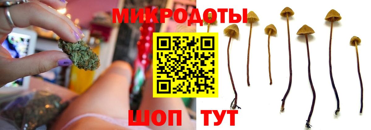 Галлюциногенные грибы GOLDEN TEACHER Буйнакск