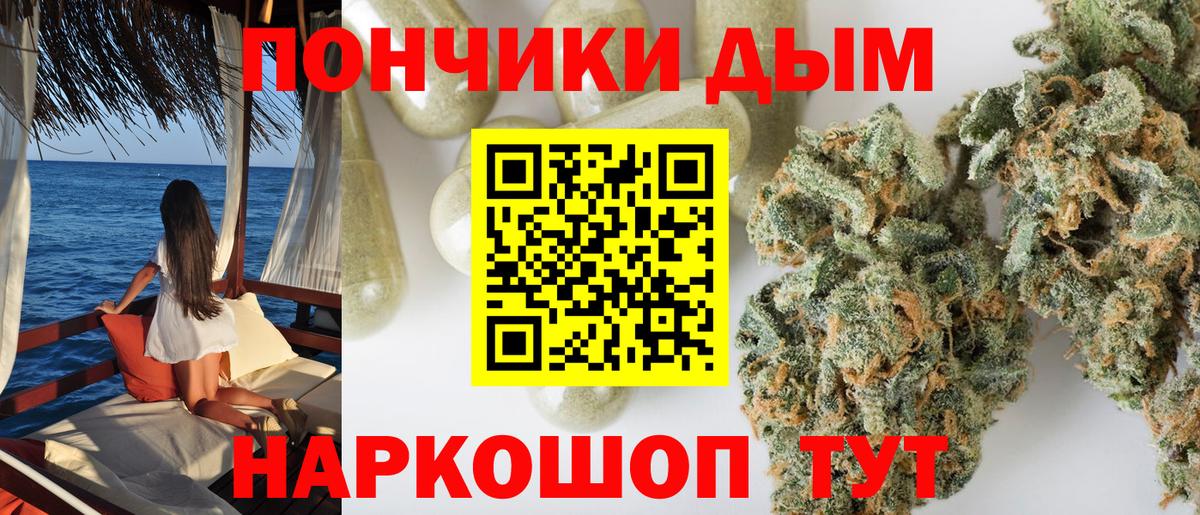 Конопля конопля  Бошки марихуана тримм  Буйнакск  Вход с VPN 